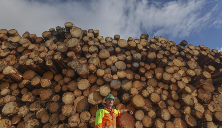 The Herald tweet media