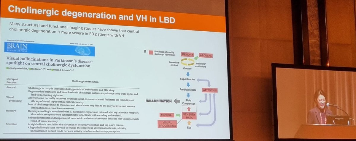 Simon Lewis (@profsimonlewis) on Twitter photo Very proud moment when you see your own paper shown at an international meeting #AOPMC for the first time. Well done <a href="/a_ignatavicius/">Anna Ignatavicius</a>
academic.oup.com/brain/article/… Very proud moment when you see your own paper shown at an international meeting #AOPMC for the first time. Well done <a href="/a_ignatavicius/">Anna Ignatavicius</a>
academic.oup.com/brain/article/…