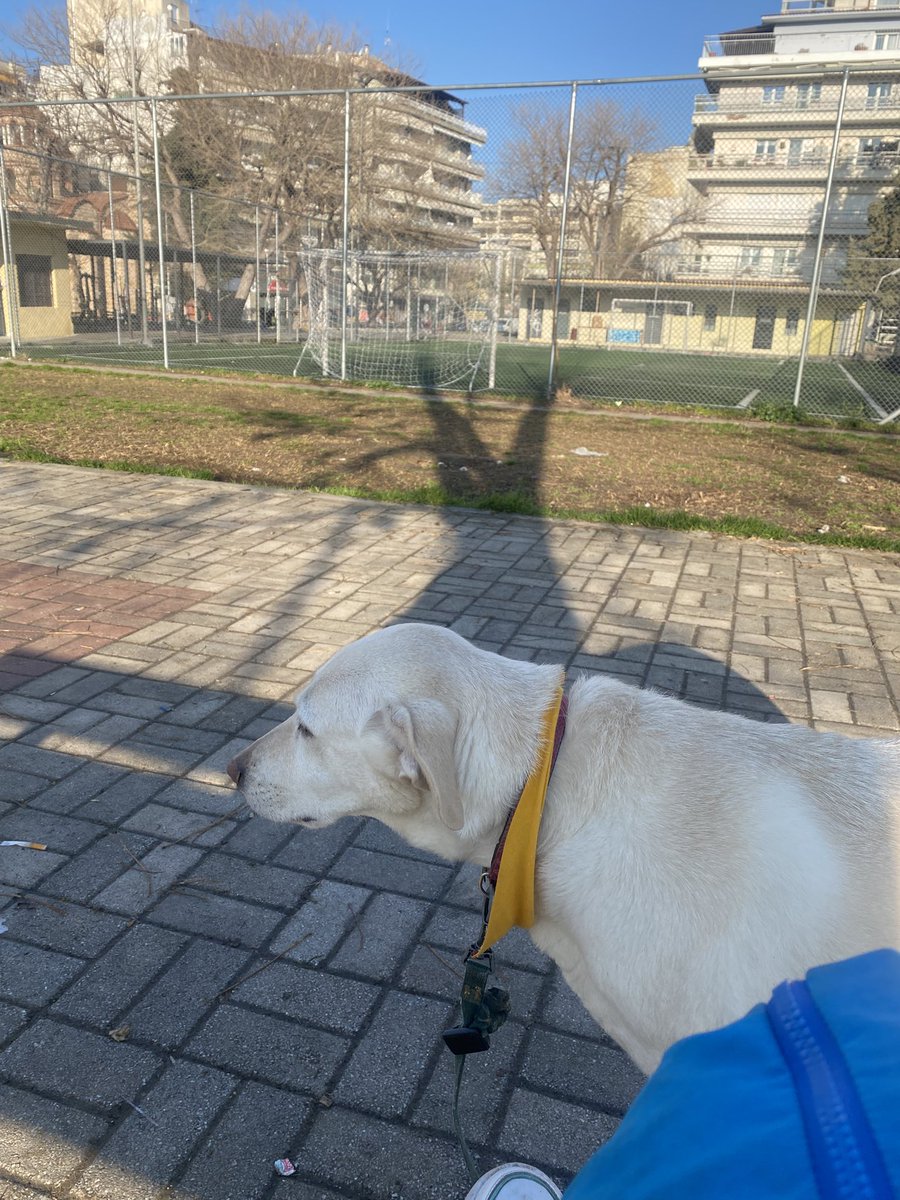 Ας πάει καλά η μέρα 
Καλημέρες