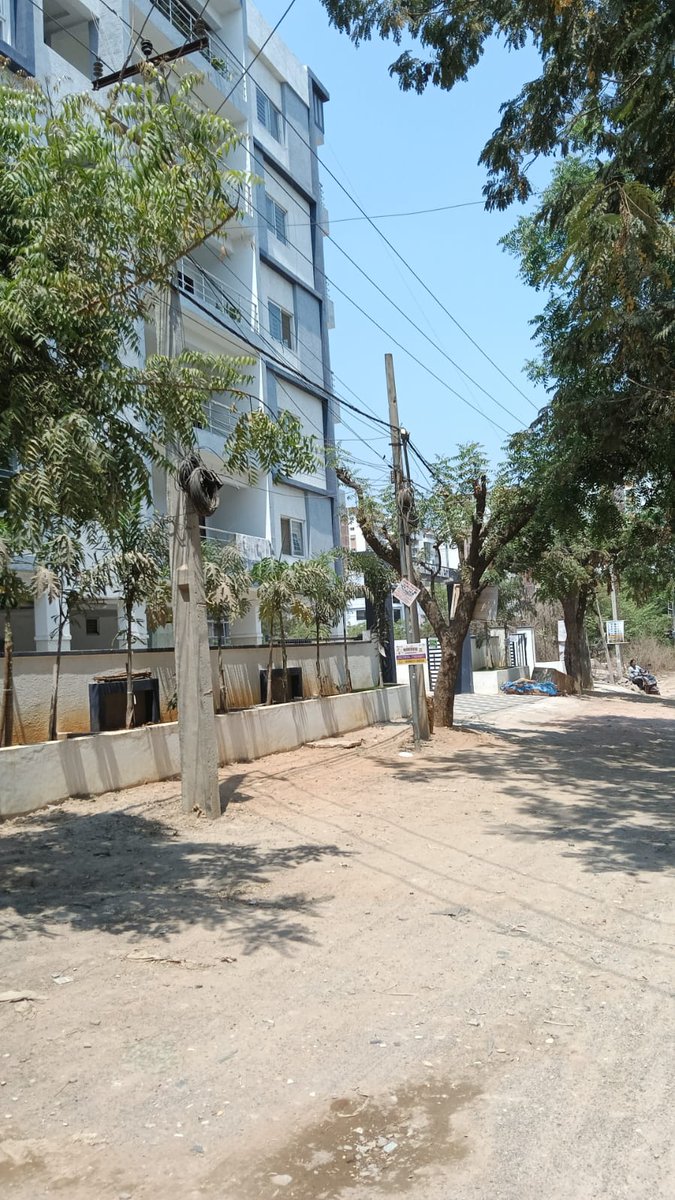 Electrical wing tweet media