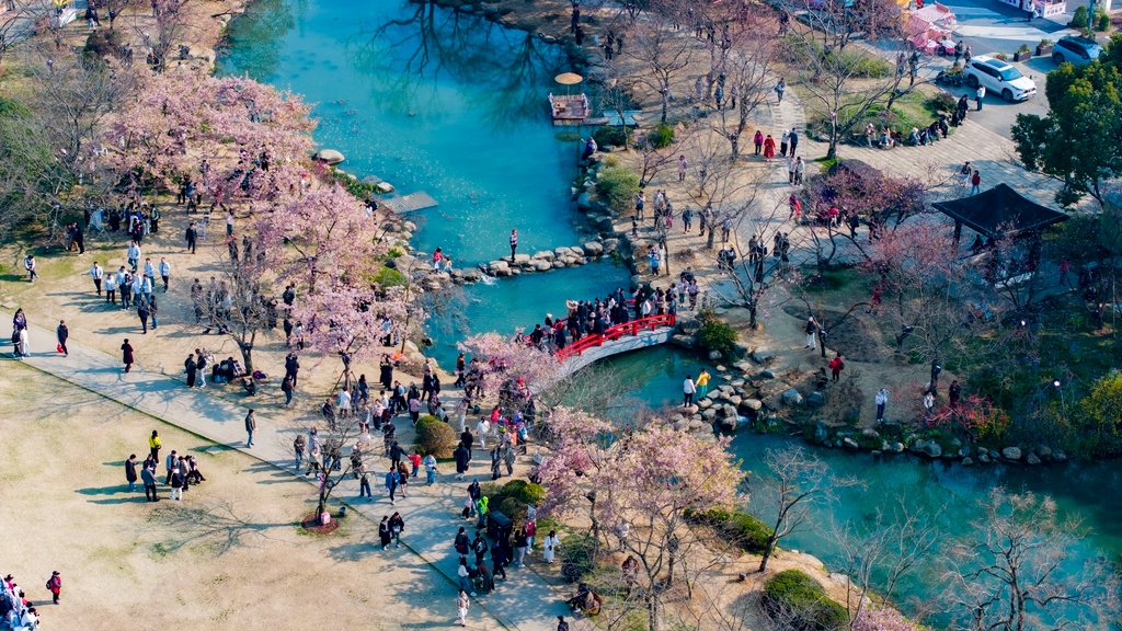 #Wuxi's enchanting cherry blossoms are poised to take center stage as the city, which is located in #Jiangsu province, welcomes its International Month and International Cherry Blossom Week from Thursday to May 1. https://t.co/D06gb6sRhW
#BeautifulJiangsu #FocusonJiangsu https://t.co/gNfPr72Q4y