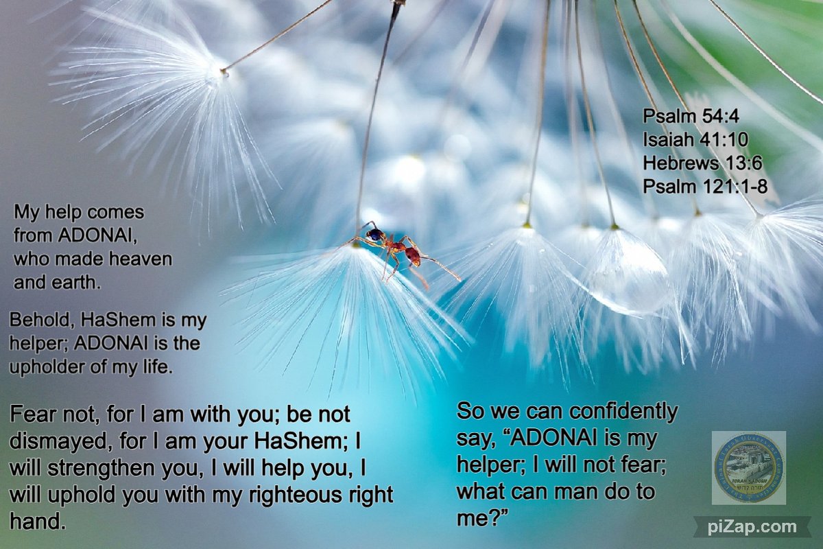ADONAI is our only helper and deliverer, NO ONE ELSE. Have a blessed day everyone.