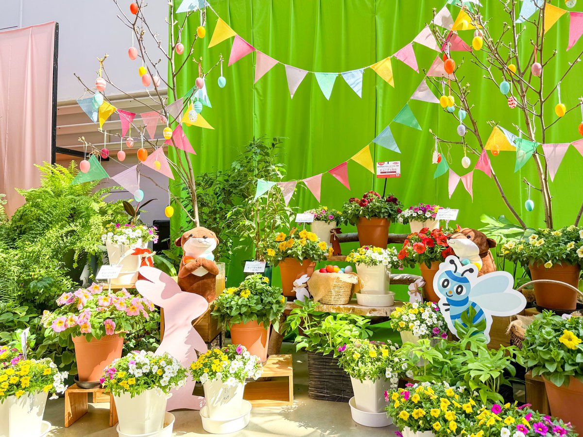 ゆるふわ園芸やっちゃんねる