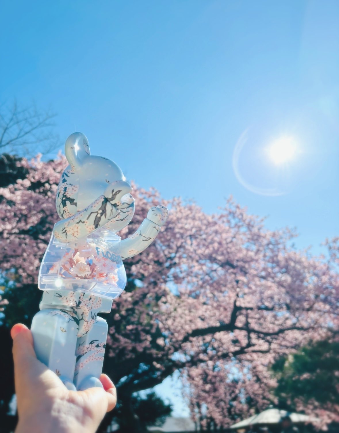 ちゃんはる LICCA LD-18 Modern Street Haruto-kun | Doll | Limited