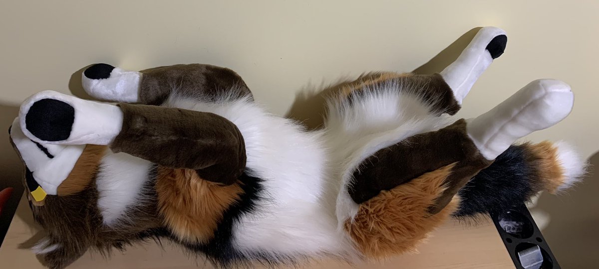 WickedWolfWorks's tweet photo. Pattern by yellow_fr3ak. It is the mini wolf plush pattern sized up 200%. https://t.co/LSaDPwH91z