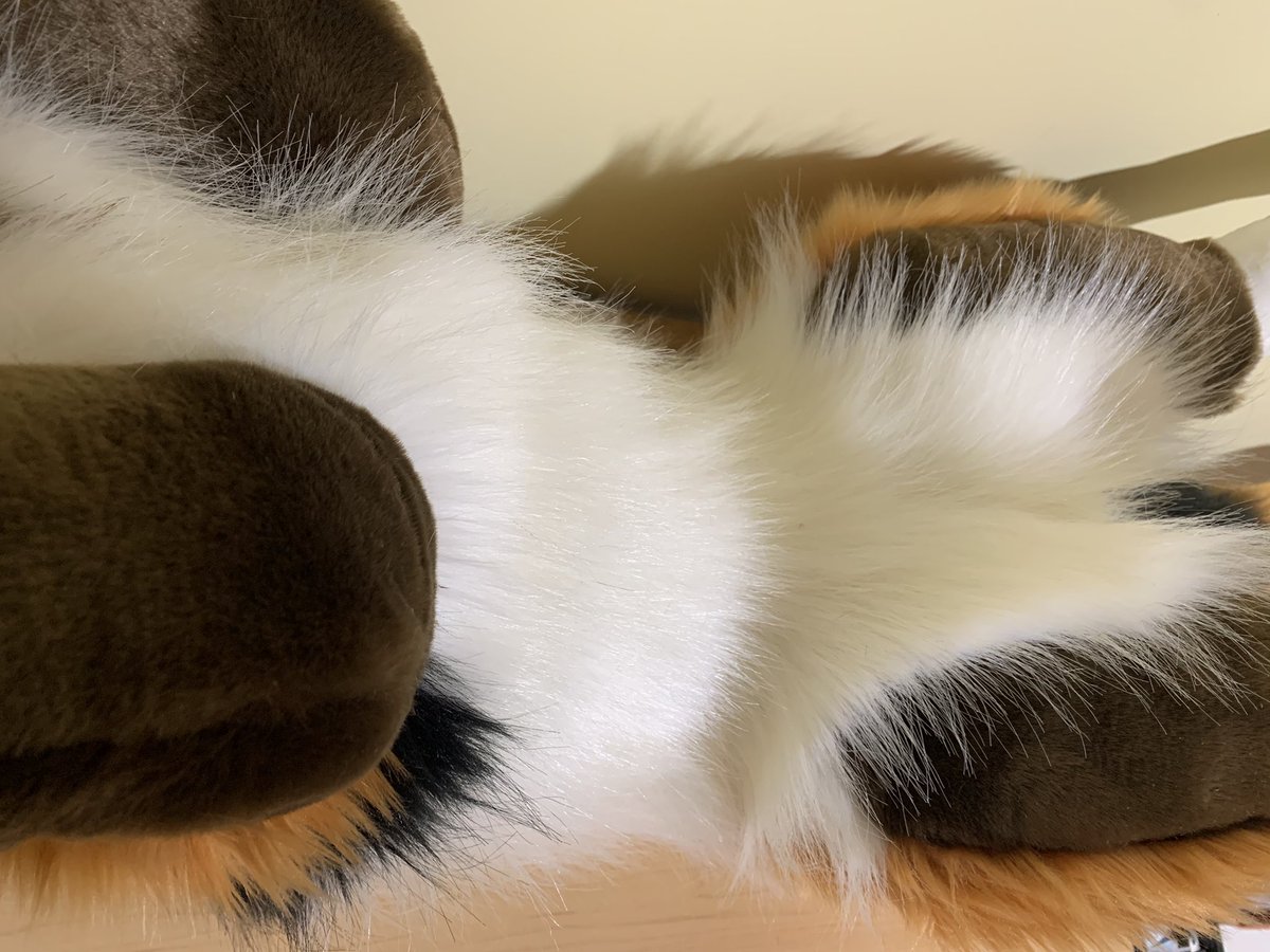WickedWolfWorks's tweet photo. Pattern by yellow_fr3ak. It is the mini wolf plush pattern sized up 200%. https://t.co/LSaDPwH91z