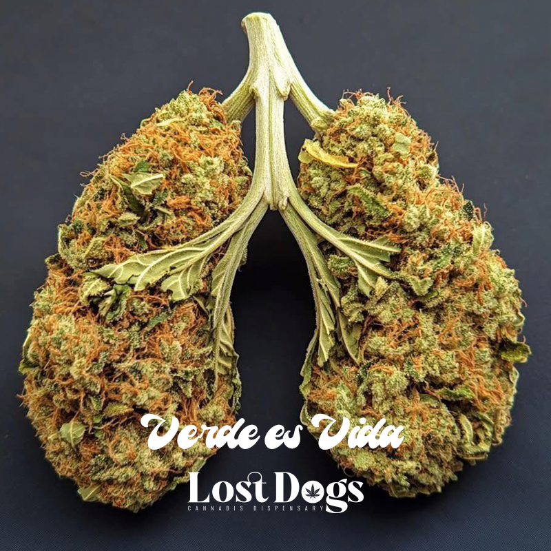 lostdogsoficial's tweet image. Pura vida #merch #PuertoVallarta #weed 
Whatsapp: 322 104 2746 Envíos a todo México.    
wa.me/3221042746