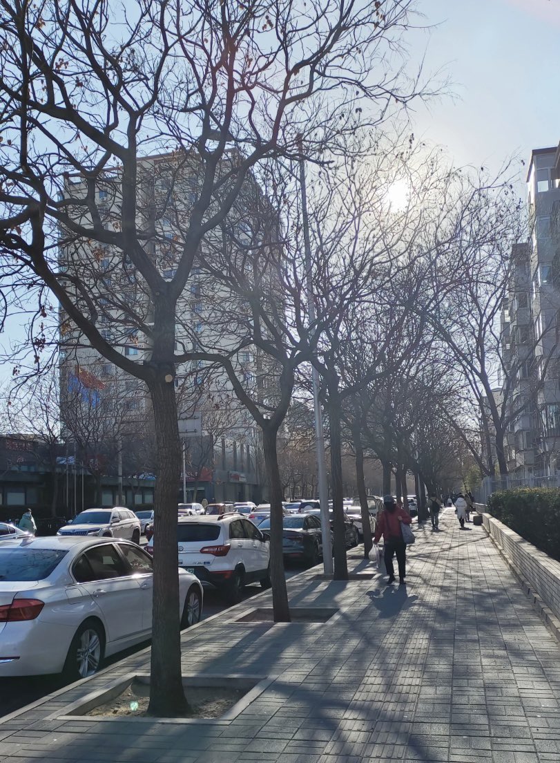 jinluperlayan's tweet image. The beautiful scenery on the way to work always brightens my morning.
Whatsapp: +86 15231539236
Wechat: 15231539236
Email: jinluts@gmail.com
#sandmakingmachine #limestone #machinemadesand #constructionsand #sandmakingmachinemanufacturer #sandmakingproductionlinefactory