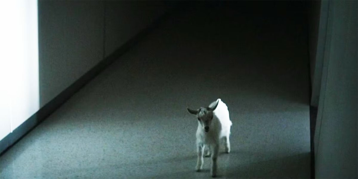 Severance и работа окончательно схлопнулись. Финал годнейший, берем