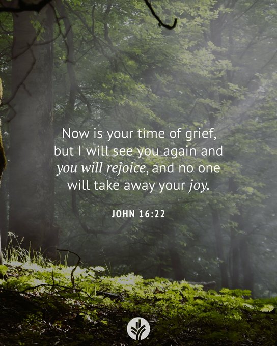 Connect with God through today’s devotional!  odbm.org/devotionals/de…… 

📖 Read: John 16:16-24  

📷 Receive: "Dear Father, please teach me to learn the difference between temporary happiness and lasting joy."