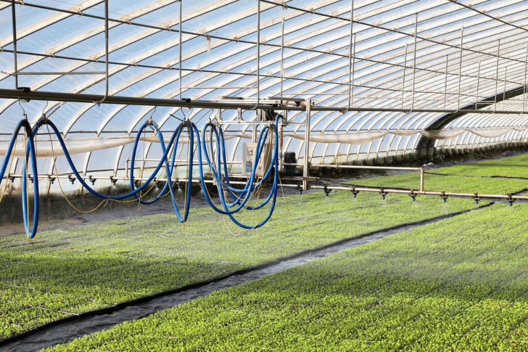 This_is_Gansu's tweet image. 🌾🌱🚜Spring plowing is in full swing in the Jinchuan district of Jinchang, #Gansu province, painting a picturesque scene of agricultural vitality. #GansuSpring #GansuAgriculture