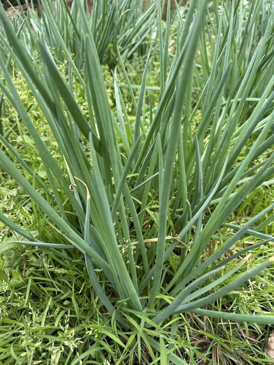 JessieTLL's tweet image. SPRING🌸💐🌼🌻🌺🌷🪻🪴