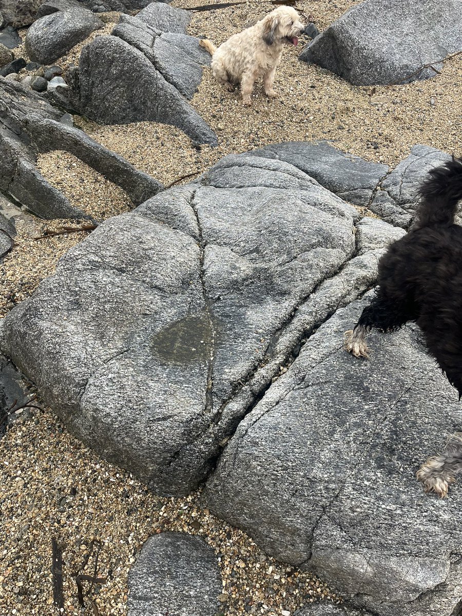 jlbritonativo's tweet photo. Se descubren nuevas piedras tacitas en playas de El Tabo @eltabo_oficial @Monumentos_cl @patrimonio_cl @RedNoticiasVR @ElTaboinforma @ElTabo_Chile https://t.co/f2lY8vqaz6