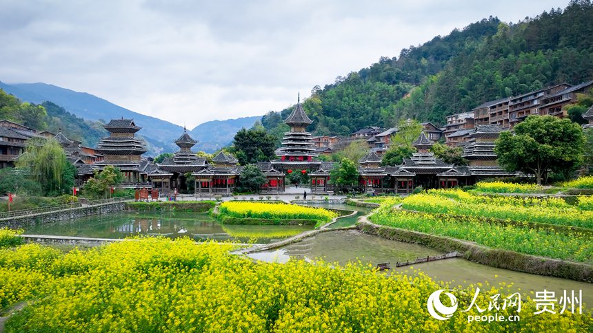 PDChinaLife's tweet photo. Spring enhances the ethnic charm of Zhaoxing Dong Village as cole flowers adorn distinctive buildings including the drum tower in Liping County, southwest China's Guizhou. The village, first built in 986 AD, is among the largest villages of the Dong ethnic group in the country. https://t.co/t5Z6WEPEuM
