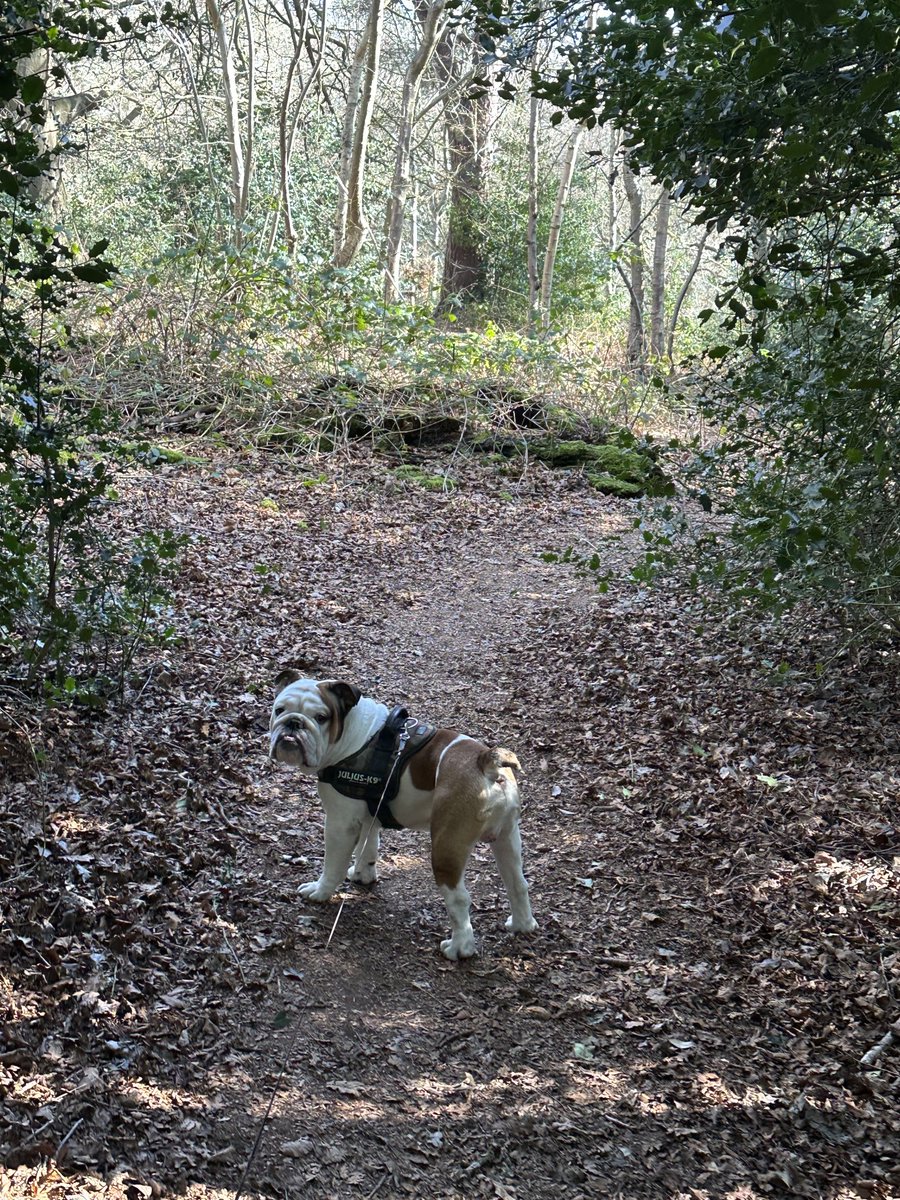 Don’t forget to touch grass folks