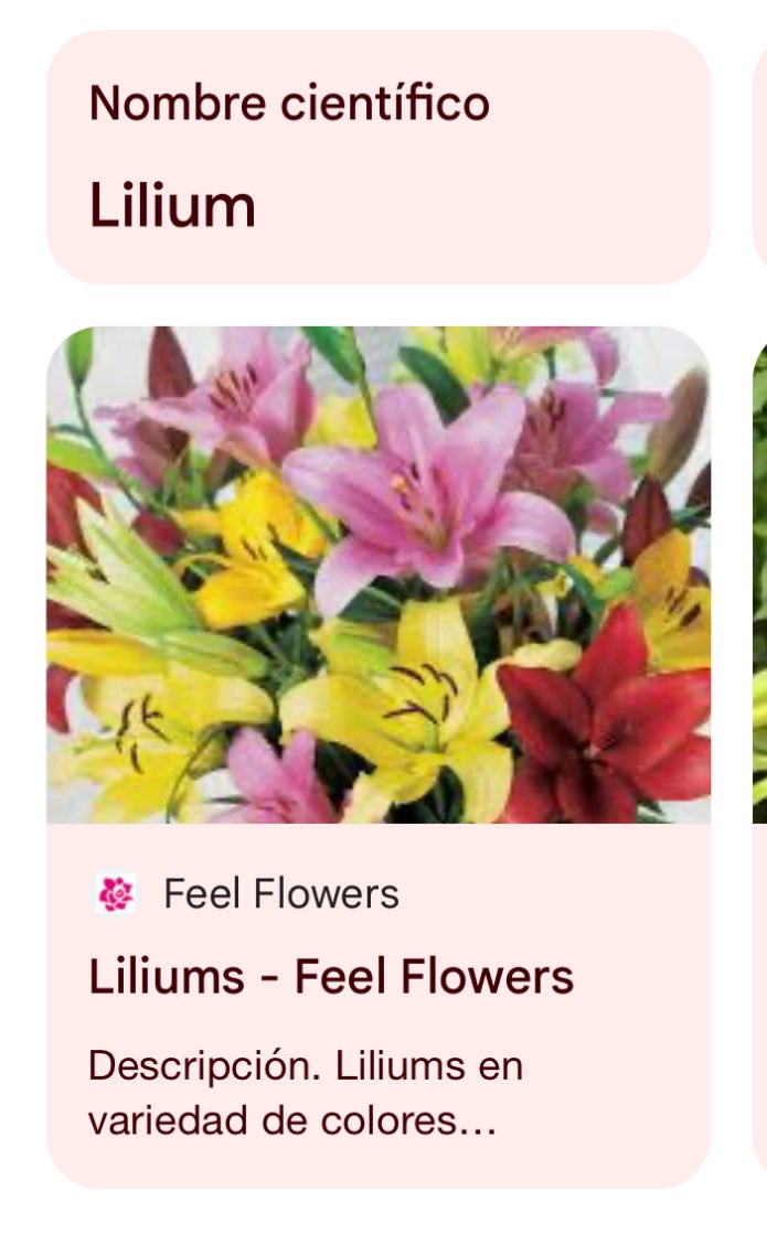 @#thefloor #thefloortvn <a href="/fuentesilva/">Eduardo Fuentes Silva</a>  pero se equivocaron ustedes, que hacen con eso???? Arreglado??