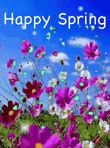 Much 20th is the First Day of Spring. Have a bright and happy Spring.