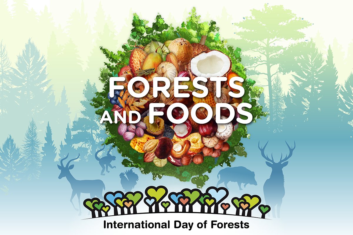 FAOLaoPDR's tweet image. #ForestDay #IntlForestDay #GenerationRestoration