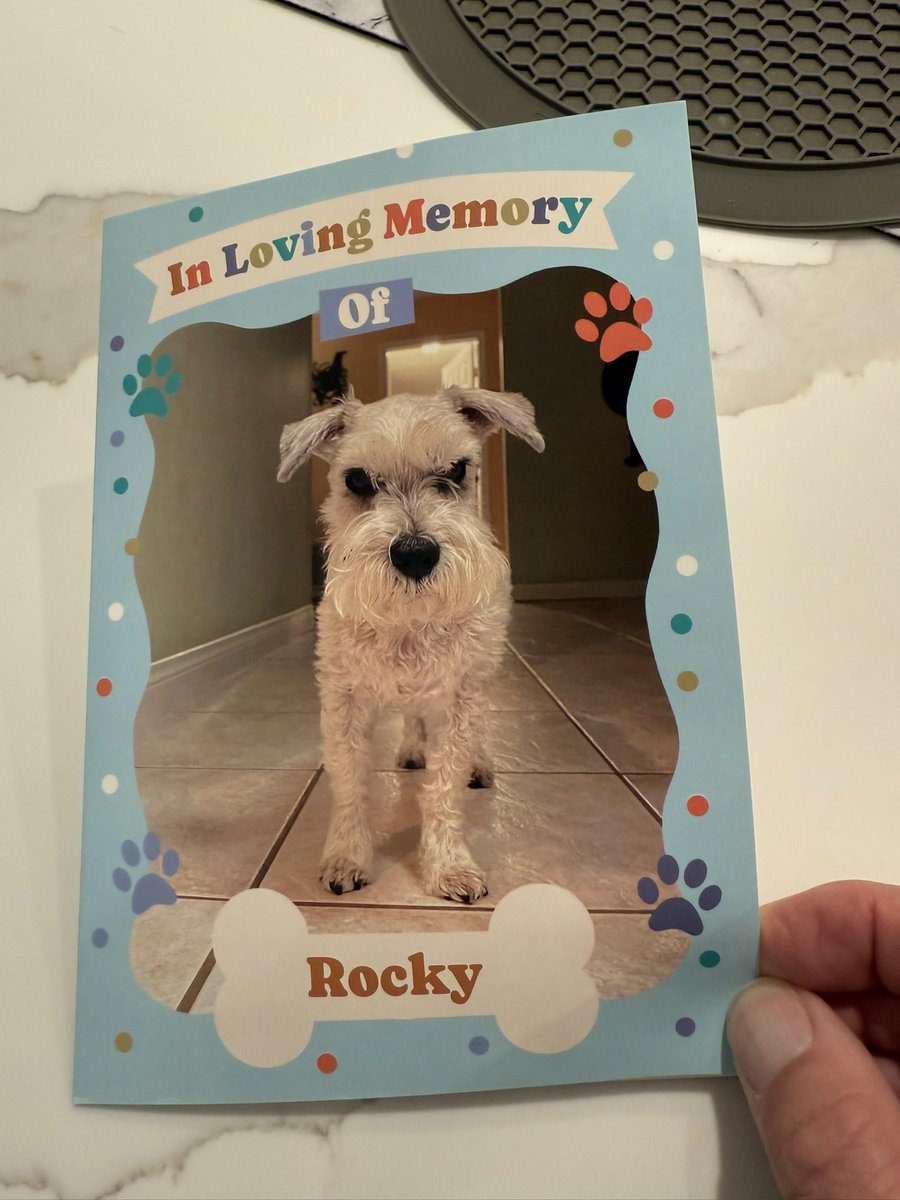 We want to thank our good pals Kiko, Woofy and Katkins <a href="/Mrsrebmik/">💜Kiko &💜Woofie &💜Katkins</a> for the thoughtful and touching card. It made dad cry, because he’s still pretty sad. Love ya. 💚🐾