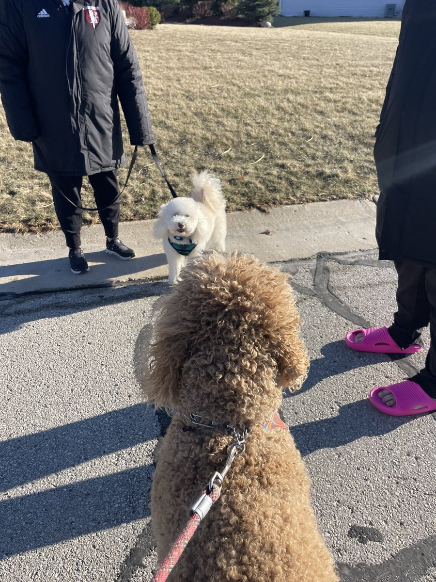 MidwestMamaG's tweet image. Another day making friends and getting out the vote for @TeamSchimel and @KinserforWI 🇺🇸@TPAction_