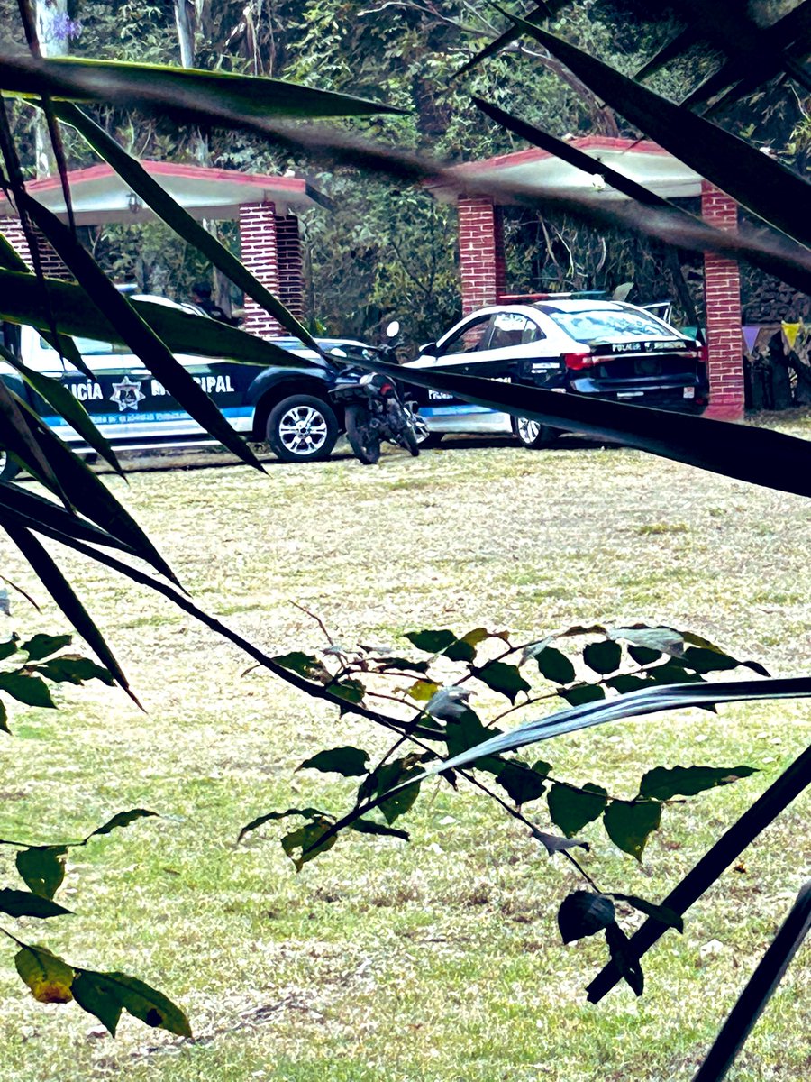 monrikz's tweet photo. @GobNau estás patrullas en el Parque 5 de Mayo deberían estar en la calle cuidándonos y no reproduciendo música a todo volumen en el convivió de los oficiales, o no?! #naucalpan #jardinesdesanmateo @PoliciaNau @isaacsolar https://t.co/8Jrn30bUOl