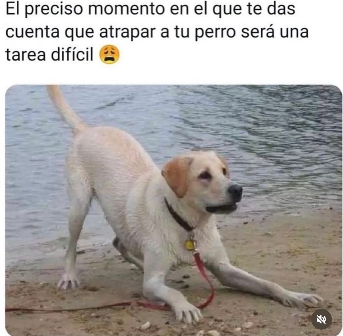 SuavesLomitos's tweet photo. https://t.co/XWJFLcTIWM