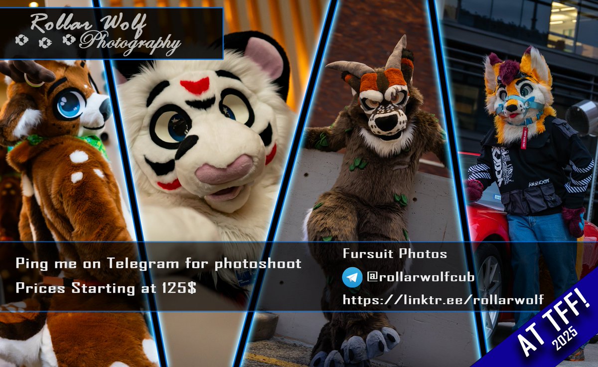 It's almost time for TFF 2025!  Looking for a photographer? I'm open!
contact.rollarwolfphotography.com