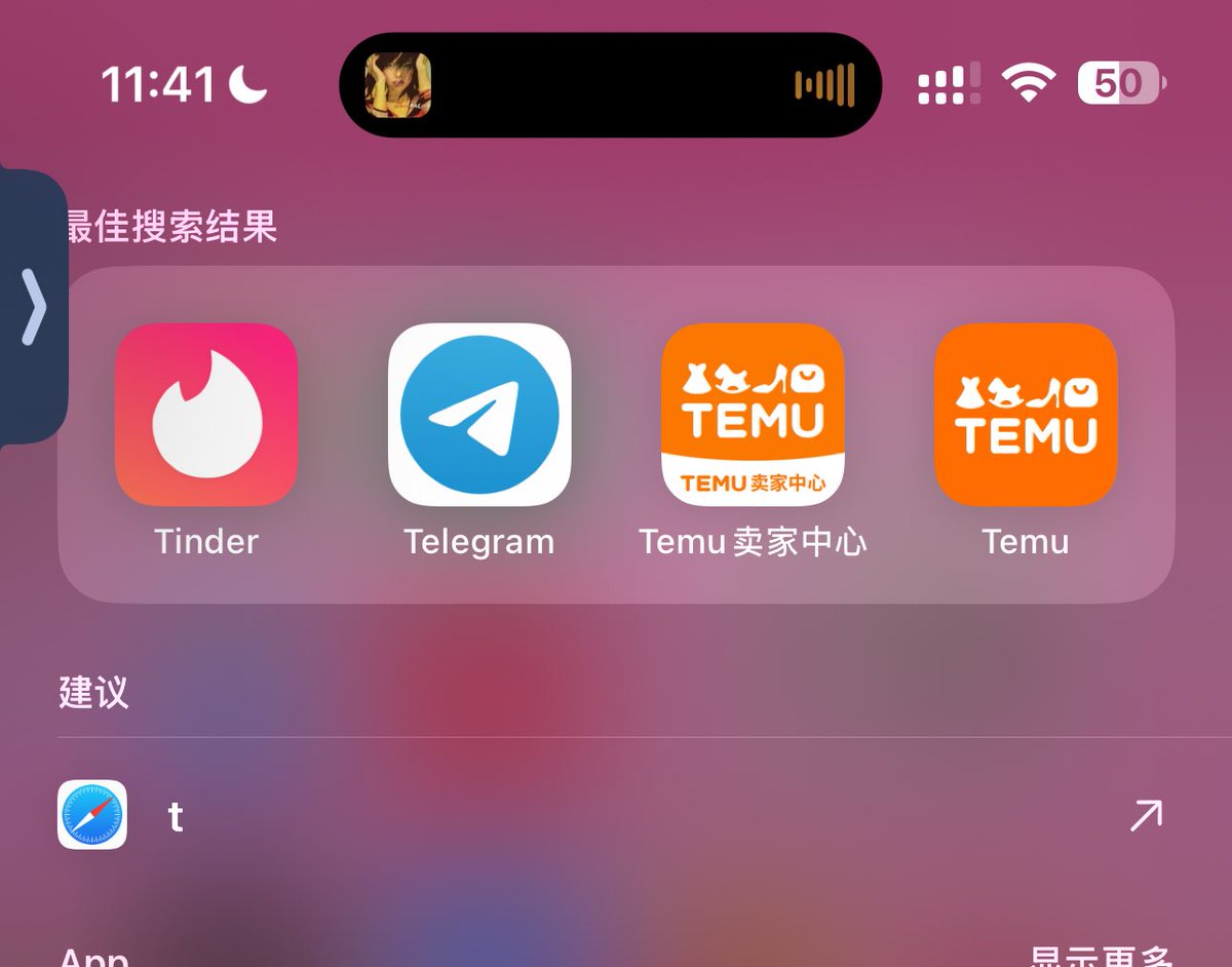 和我上司讨论该不该做一个产品的时候
他让我用temu搜图看看竞品 我手一快点开了 tinder 然后划出去 又点开了telegram 沉默的两个人 我不活了
