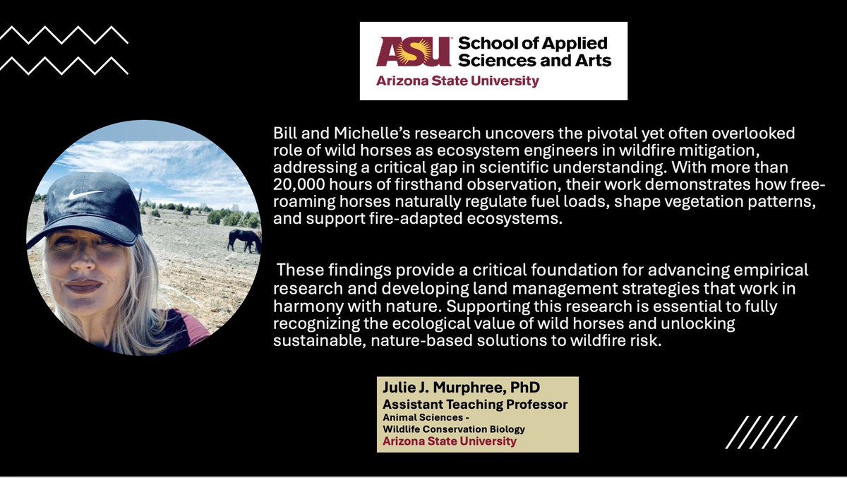 Wild Horse Fire Brigade tweet media