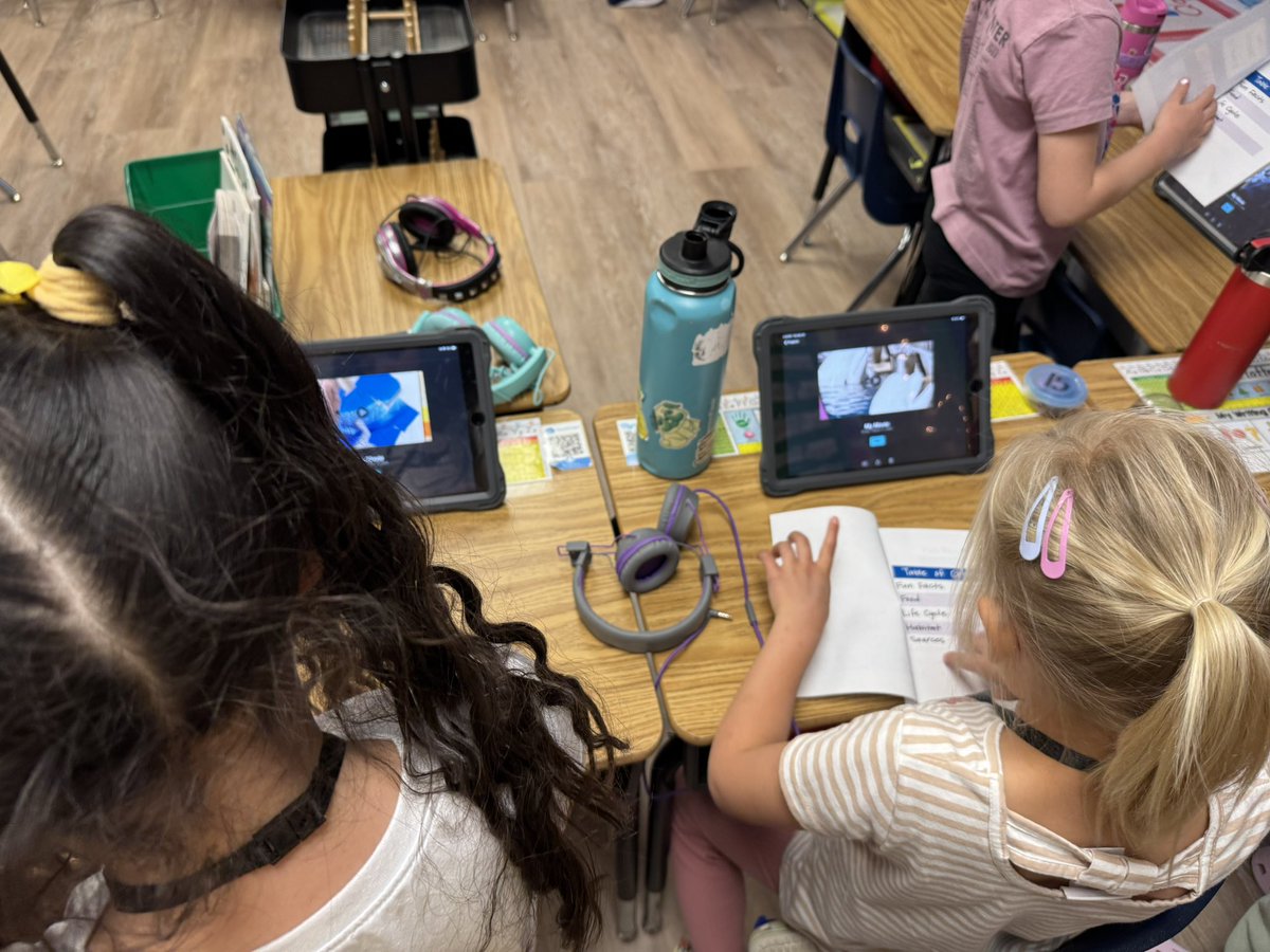 MrsFrench1grade's tweet photo. First graders checking out each others animal research books made on #pages and their #iMovie🎬 of their animal- blending research, writing, creativity and technology in a meaningful way! 📱@RISDiTeam #pages #RISDBeTheOne https://t.co/TdQ8l2qLZr