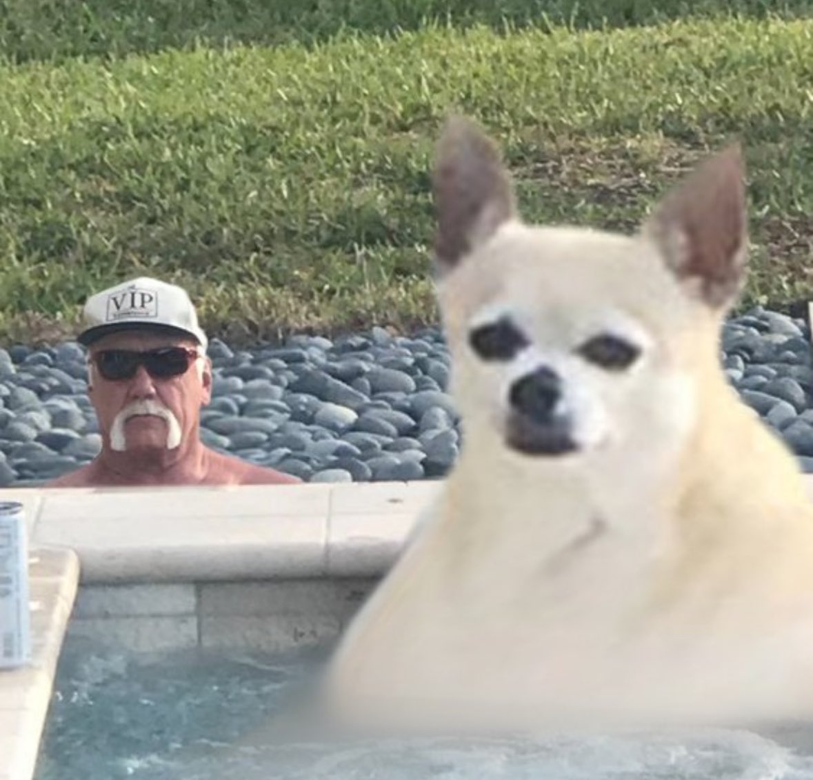 b (@bmemelord2020) on Twitter photo 