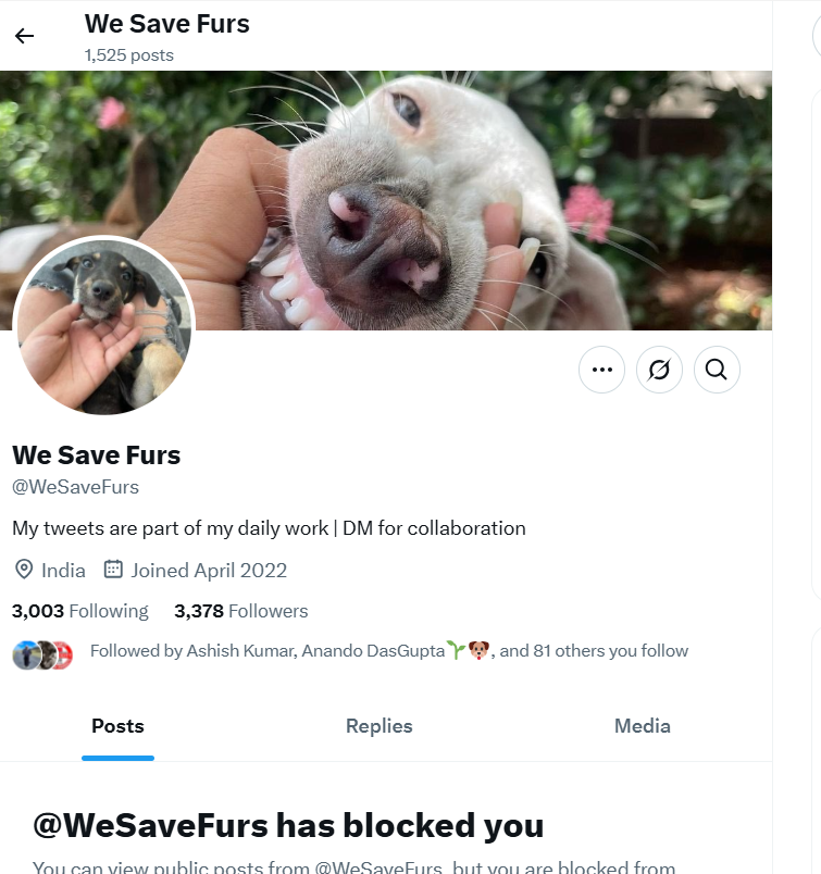 TheViditsharma's tweet photo. 🚨 ALERT! FRAUDSTER EXPOSED! 

Remember the scammer "Gone Girl Annie"? They are back with a new name—"We Save Furs."  They are fraudulently collecting donations, and Sandeep Mandal is behind this account.

They are operating through an Axis Bank account in Rudrapur, Uttarakhand.

They have been scamming people for the last 3 years!

REPORT & UNFOLLOW this account immediately!
We need to mass-report this fraud to protect innocent donors. Don't fall into their trap! 

@WeSaveFurs 
#ExposeFraud #StopScammers #ReportAndBlock