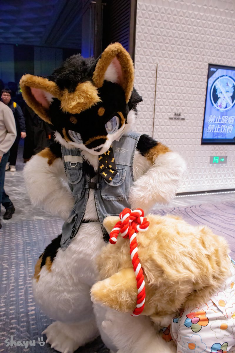 玄泷🔜❓ tweet media