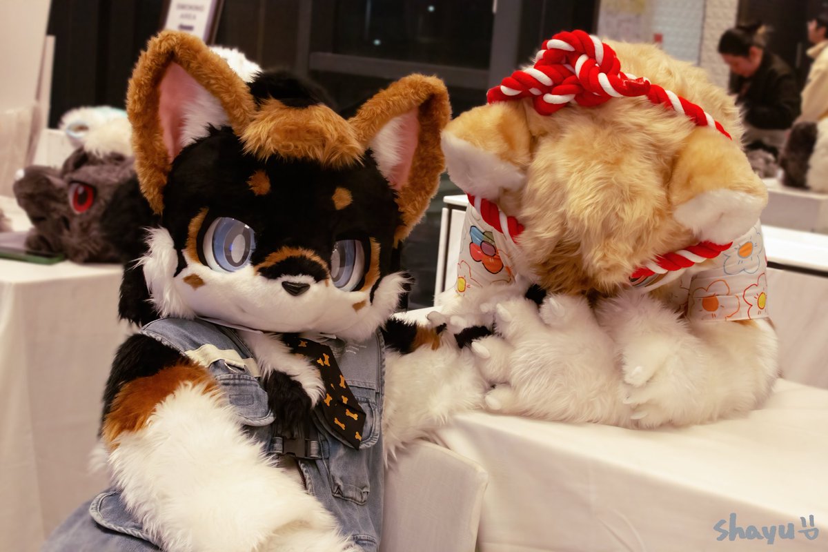 玄泷🔜❓ tweet media