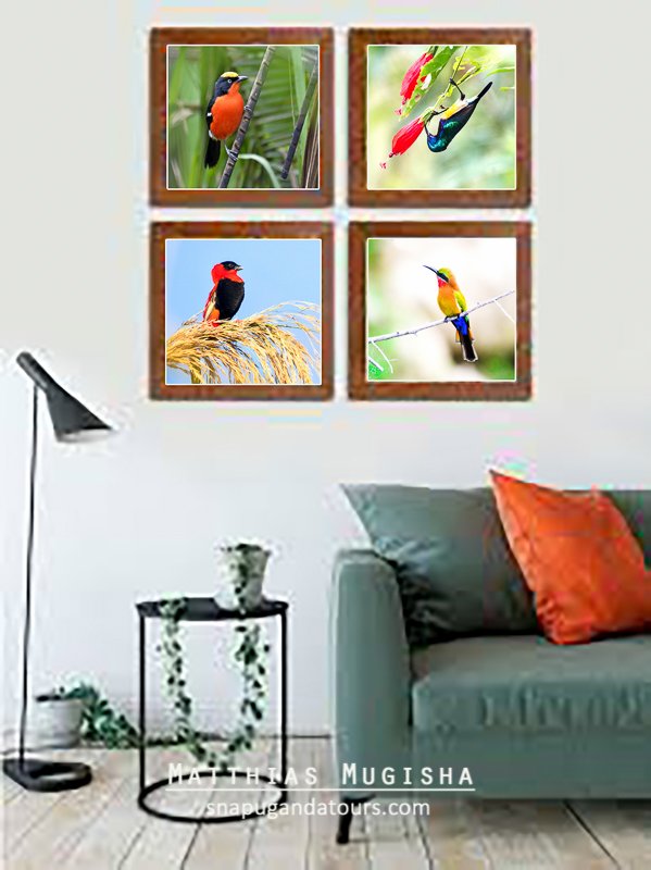 matthiasmugisha's tweet photo. Original Ugandan Snap Uganda Wall Decor for homes, offices and Hotels. Tel: +256772407561
Click here for more samples
https://t.co/gvtUBY5R2k https://t.co/ggEqhY1wFM
