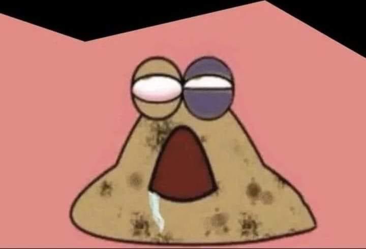 cosmonautstudy's tweet image. o almoço do ru vai ser moqueca de peixe NAOOOIOOO