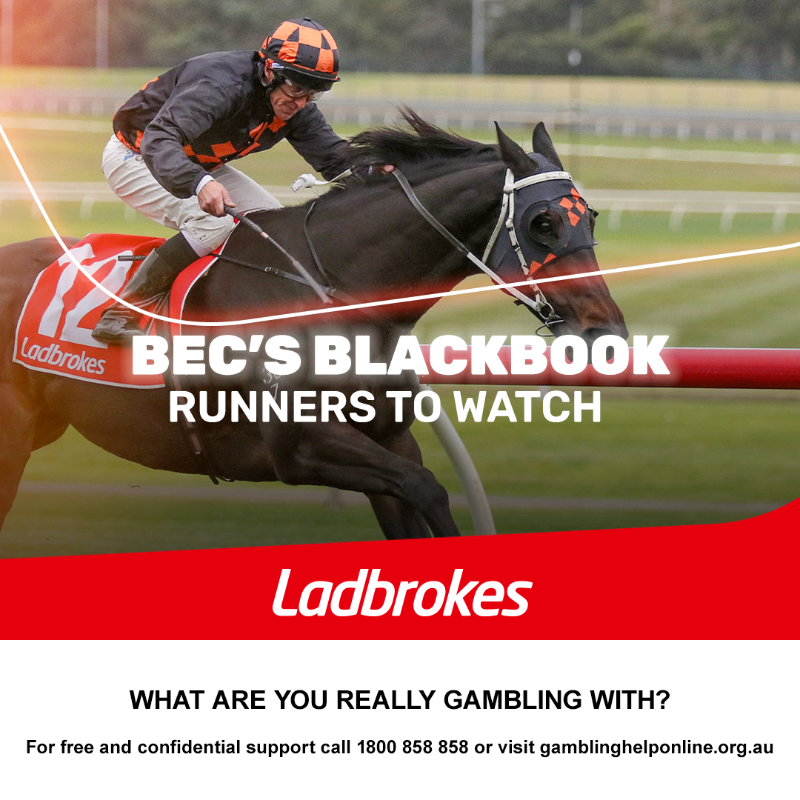 ladbrokescomau's tweet photo. @bechill21 got it right last time with Tom Kitten and Commemorative and she’s found some more to follow this weekend 👀