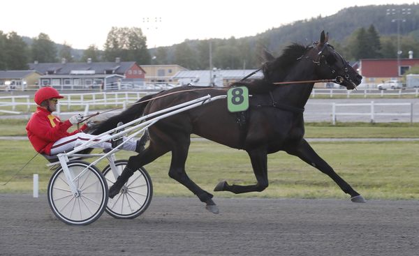 travera.nu tweet media