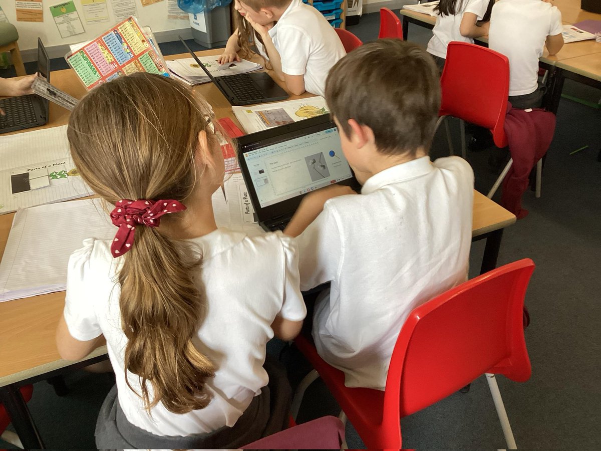 Oak Tree Primary School tweet media