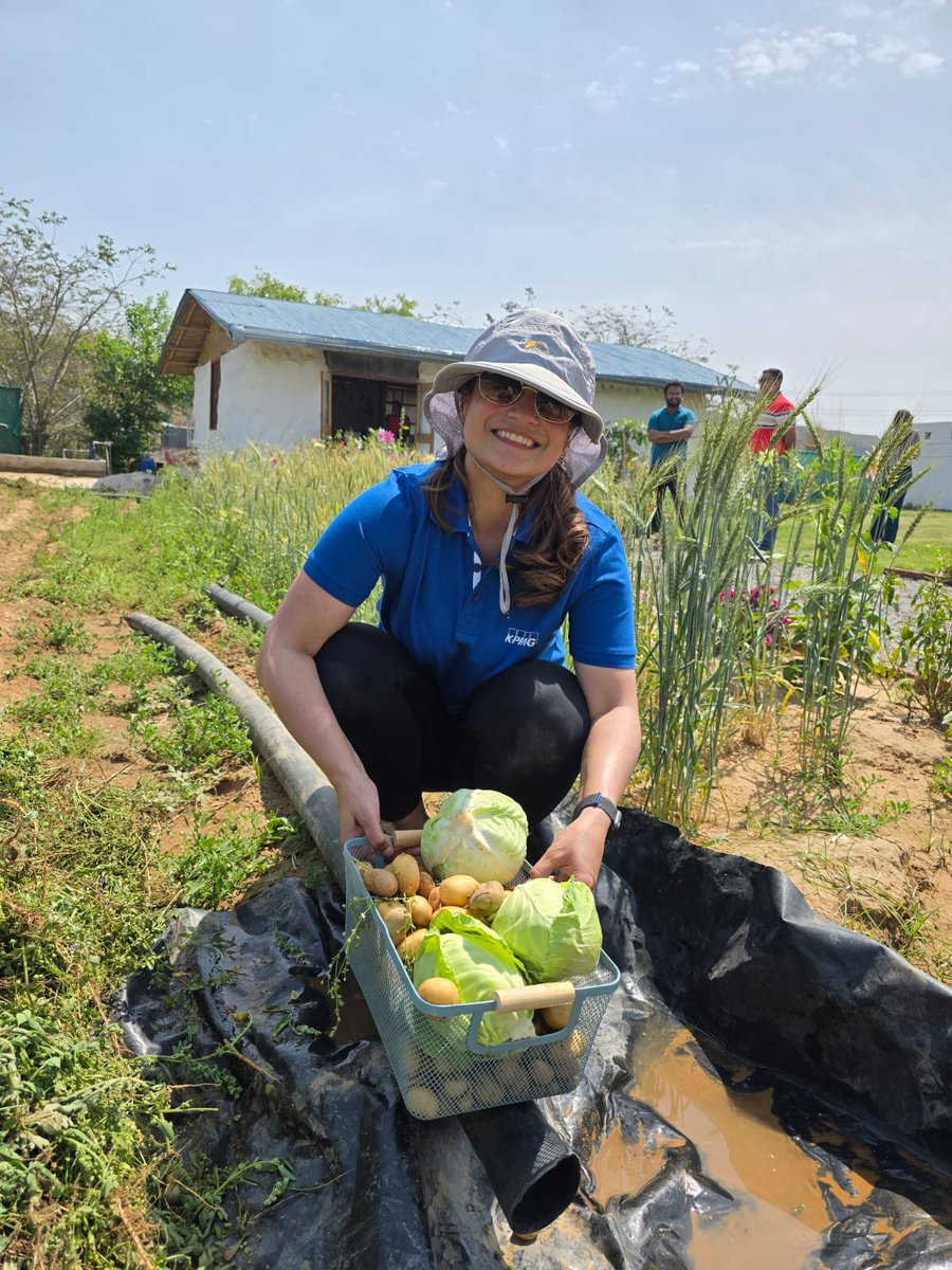 IPDevgun's tweet image. Spent a day on the farm—plucking, weeding, cooking on a chulha. A reminder of how far we’ve drifted from the basics. In a world consumed by screens and speed, we’ve lost touch with the roots that sustain us. Time to reconnect
#BackToRoots #FarmLife #SimpleJoys #KPMG #CSR #millets