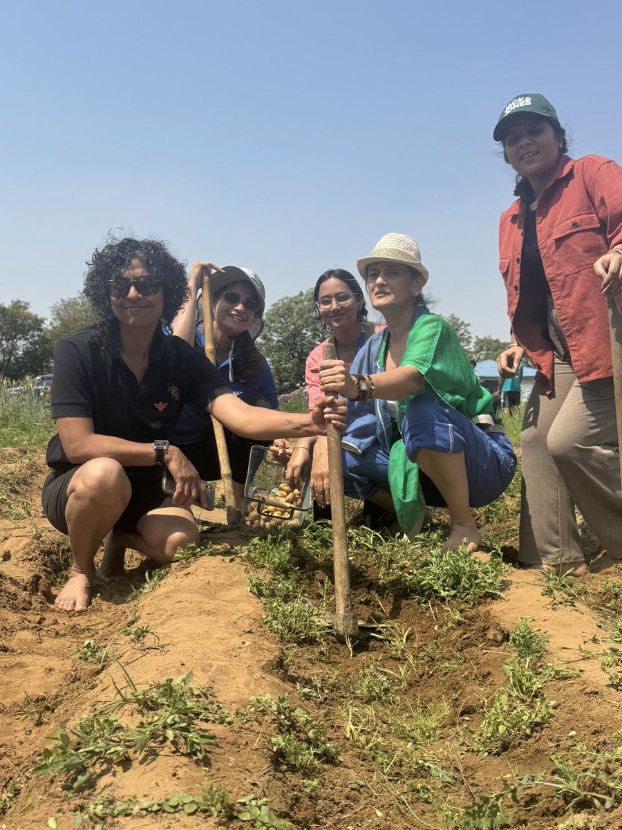 IPDevgun's tweet image. Spent a day on the farm—plucking, weeding, cooking on a chulha. A reminder of how far we’ve drifted from the basics. In a world consumed by screens and speed, we’ve lost touch with the roots that sustain us. Time to reconnect
#BackToRoots #FarmLife #SimpleJoys #KPMG #CSR #millets