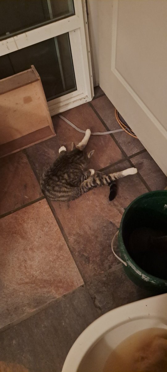 This niggas gay <a href="/VLolosOfficiel/">Vasilis Lolos Greek God of Comics</a> <a href="/darrenwaggonerx/">Darren Waggoner</a> <a href="/shanedavisart/">Shane Davis Wizard's Favorite Break Out Artist 09!</a>