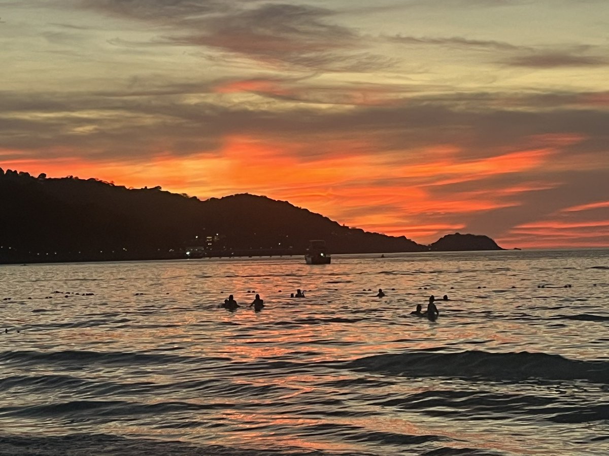 Casey Lynchey tweet media