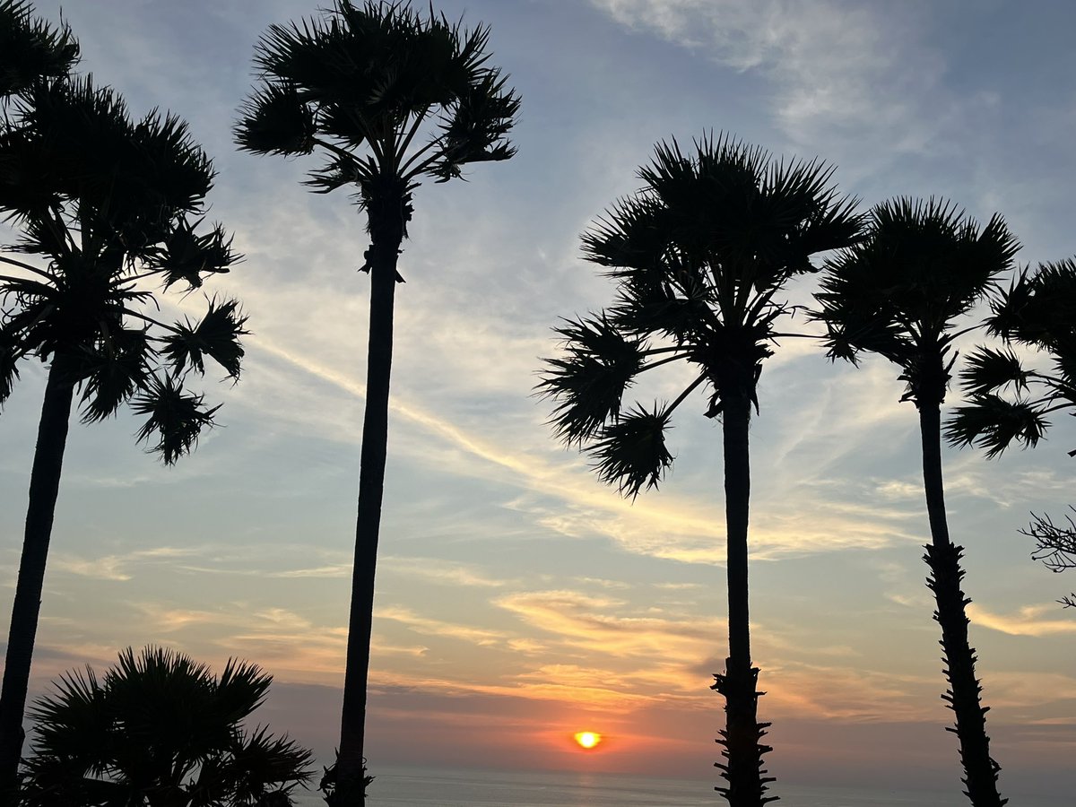 Casey Lynchey tweet media