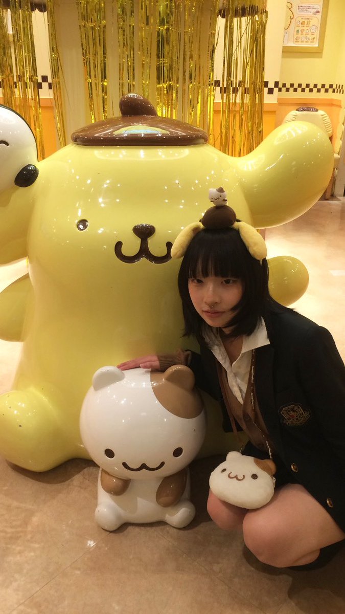 しらたま向上委員会 tweet media