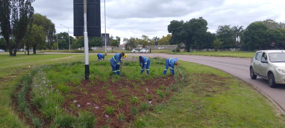 Dr Nasiphi Moya tweet media