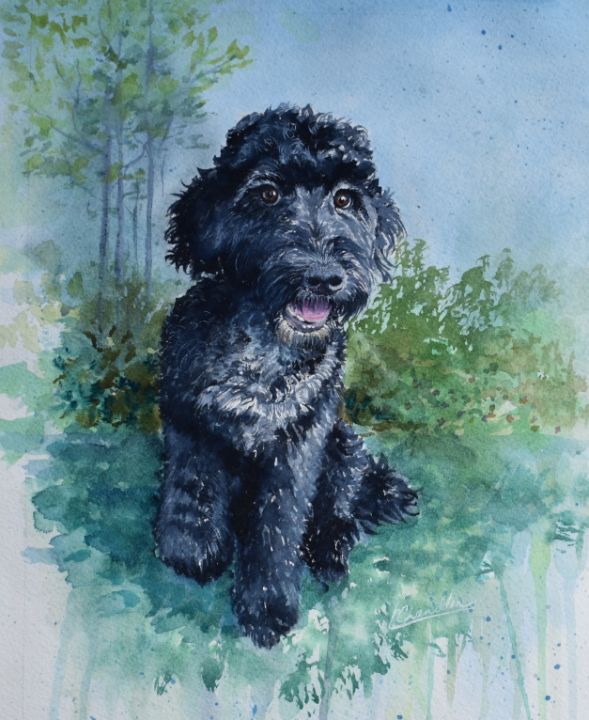 LC_Arts's tweet photo. Art of the Day: "Aussie". Buy at: https://t.co/ySWEpCFzV7 https://t.co/GW0K7mG8Qz
