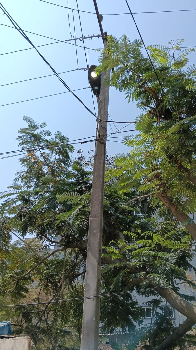 Electrical wing tweet media