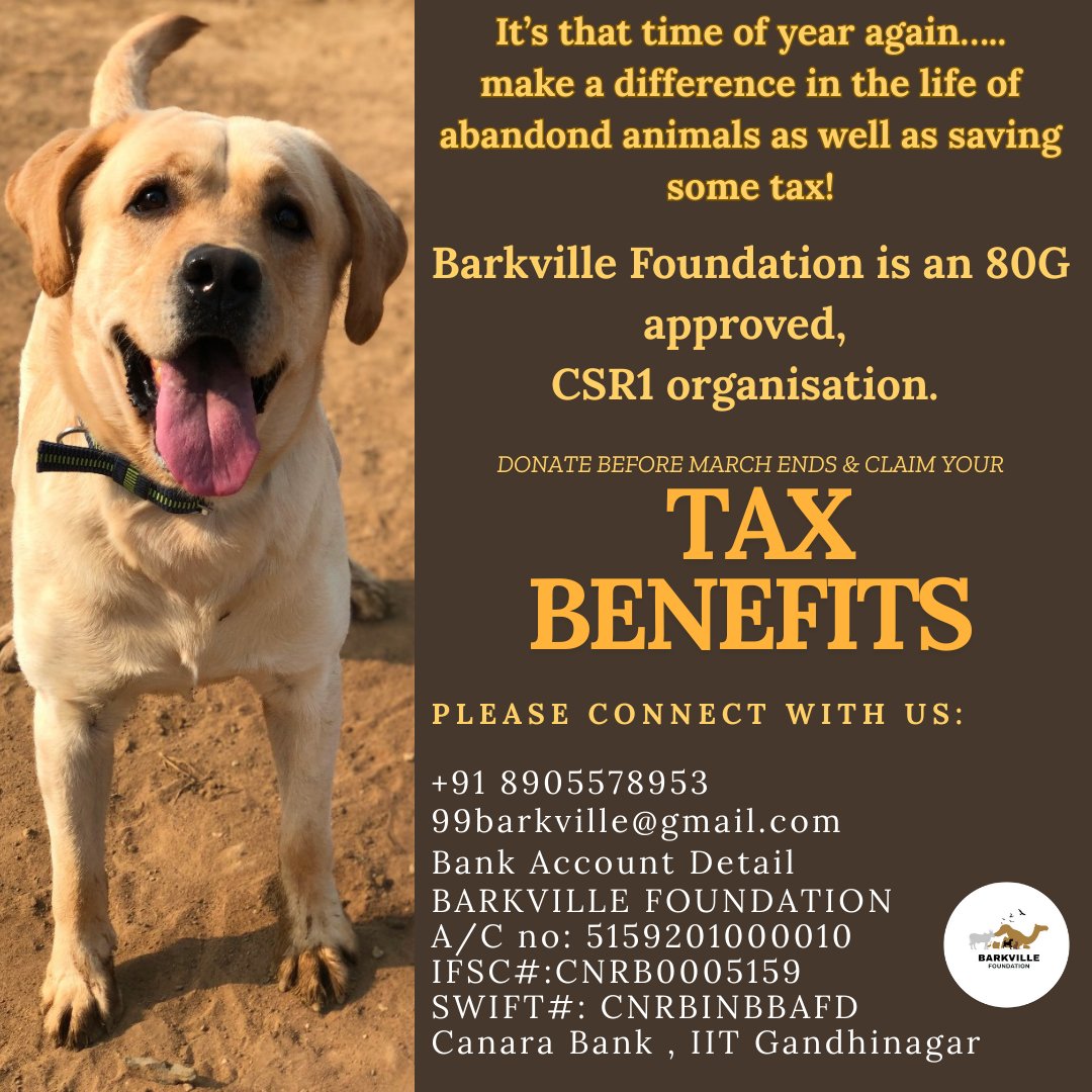 99Barkville's tweet photo. Make a difference while saving on taxes! 🌿🐾 

Donate to Barkville Foundation before March ends and claim your 80G - CSR benefits. 

Your support helps us shelter animals and spread kindness. 💛

📩 Contact us to contribute! 
#CSR #TaxBenefits #AnimalWelfare #BarkvilleFoundation https://t.co/s5AeNXVjKo
