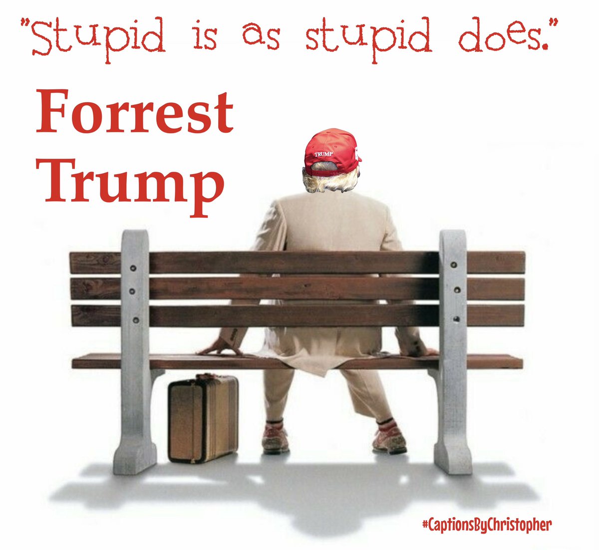 ChrisDLinnell's tweet photo. #Trump is a #BullInAChinaShop.
He's the same in every endeavor.
He's just stupid... and #StupidIsAsStupidDoes.

#ForrestTrump  #CaptionsByChristopher https://t.co/XUt1uGf3jn